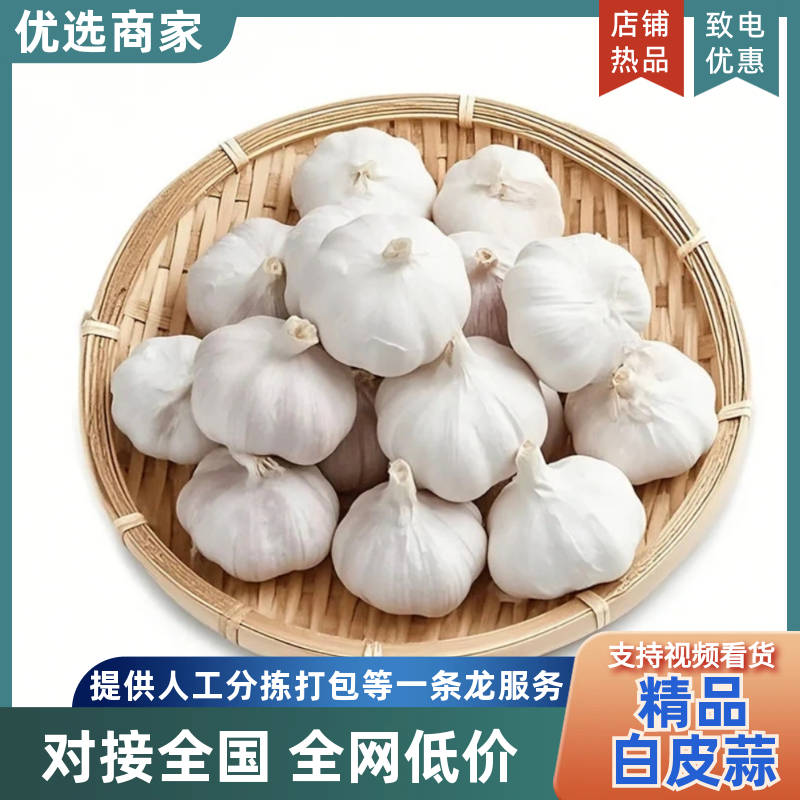白皮蒜种脱水蒜种蒜大量上市新大蒜保质保量欢迎选购
