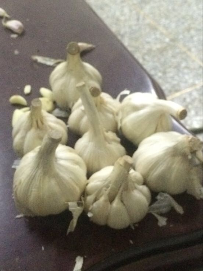 白皮蒜种脱水蒜种蒜大量上市新大蒜保质保量欢迎选购