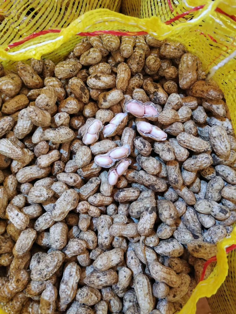 精品鲜花生，对接市场，电商，工厂，量大从优