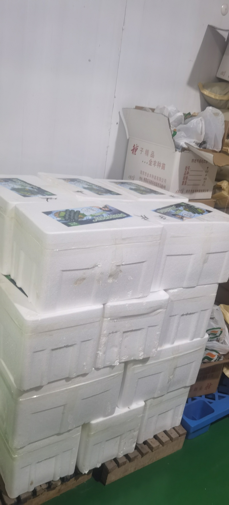青翠黄瓜基地直发品质保障诚信经营全国发货