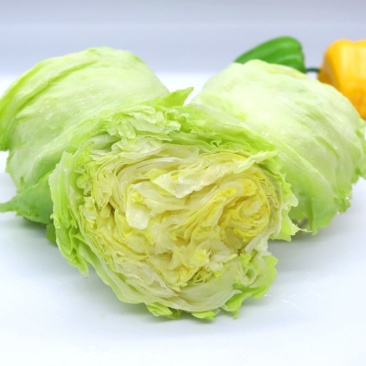 山东莘县生菜球源头直供当天采摘