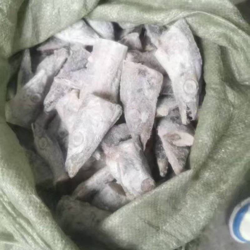 刀鱼头