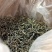 古树普洱茶/云南临沧产区直发/货源充足/大量有货