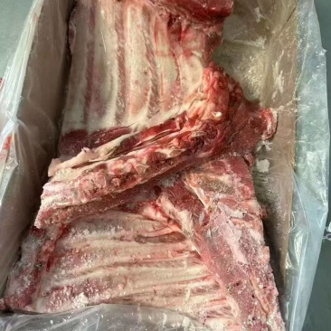 去颈母猪前排