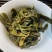 云南普洱茶/产区直发/货源充足/古树普洱茶/大量有货
