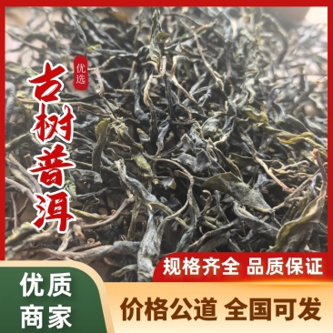 云南普洱茶/产区直发/货源充足/古树普洱茶/大量有货