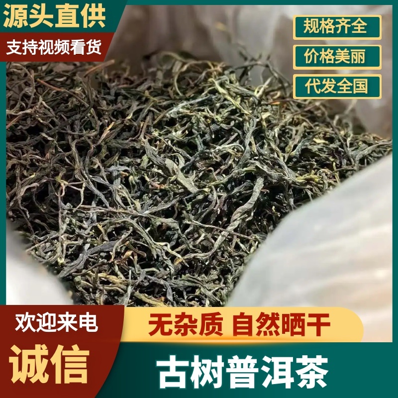 云南临沧普洱茶，货源充足/产区直发/大量现货