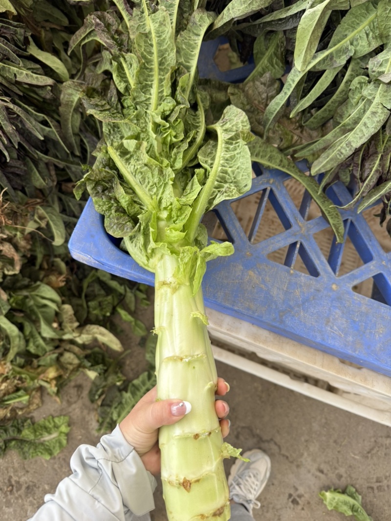 精品