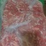 剔骨羊肉15一斤纯干块大全国可发样品。大量现货