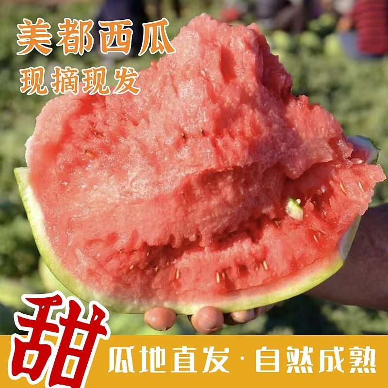 美都西瓜/商丘夏邑县/产地直发/美都西瓜/诚信为本/