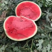 西瓜