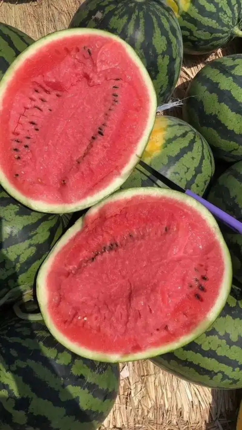 美都麒麟西瓜，现货现发，产地一手货源，支持视频看货