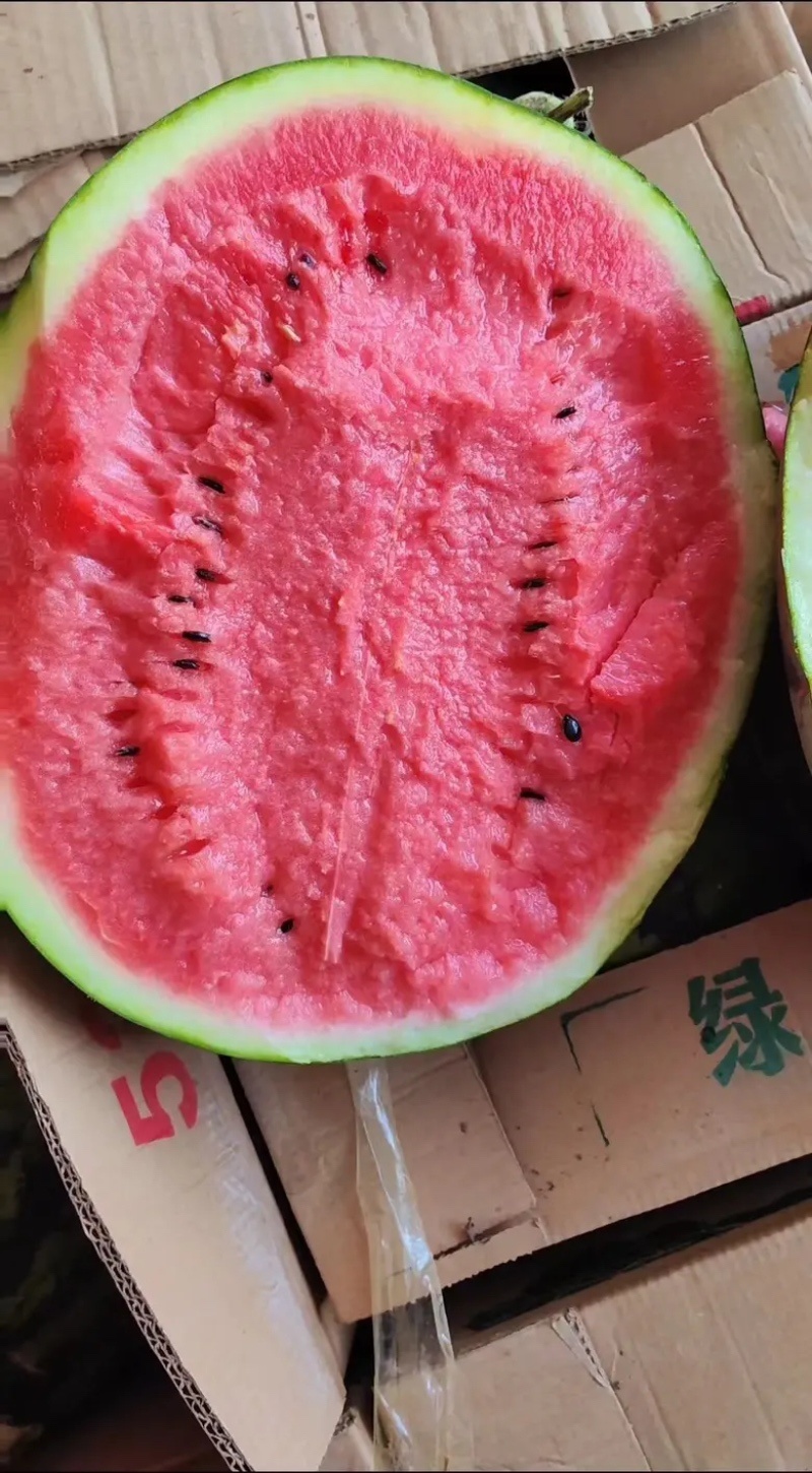 美都麒麟西瓜，现货现发，产地一手货源，支持视频看货