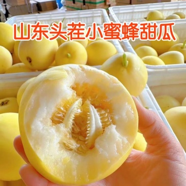甜瓜/小蜜罐甜瓜/山东甜瓜/代发全国/品质保证/