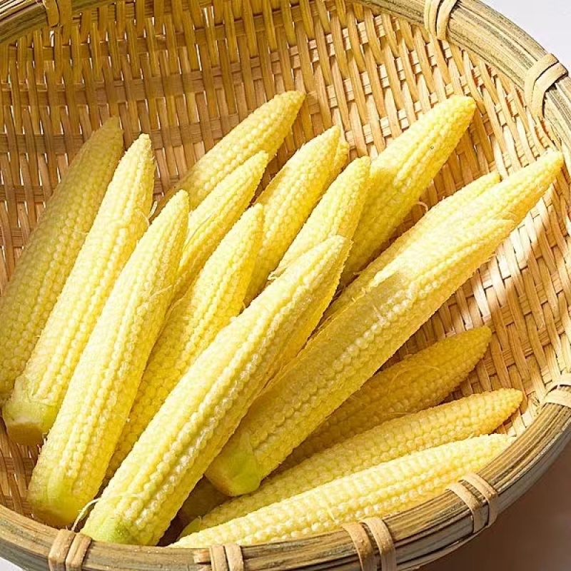 来宾新鲜玉米笋大量供应对接市场商超量大从优欢迎来电咨询