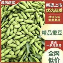 《热卖》精品蚕豆/全国发货/可供商超批发市场可看货
