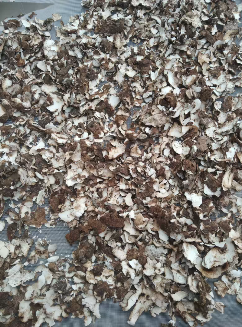 大别山茯苓皮，精选茯苓皮，水洗茯苓皮，大货批发