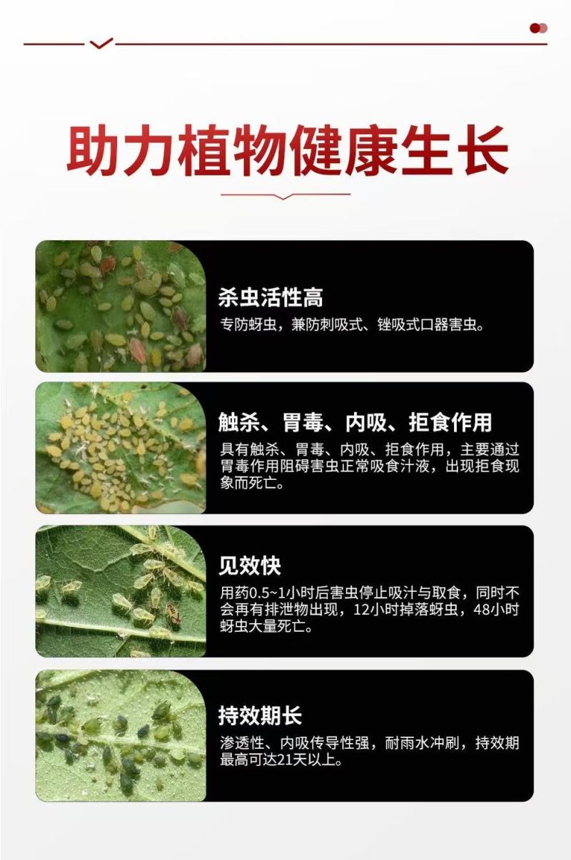 巧喜15%氟啶虫酰胺联苯菊酯桃树桃芽农药杀虫剂抗性蚜虫