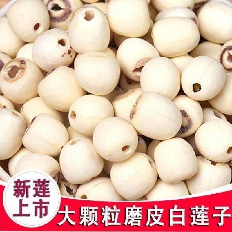 【新上市】农家去芯去皮白莲子新莲子去芯干货粉糯易煮白莲