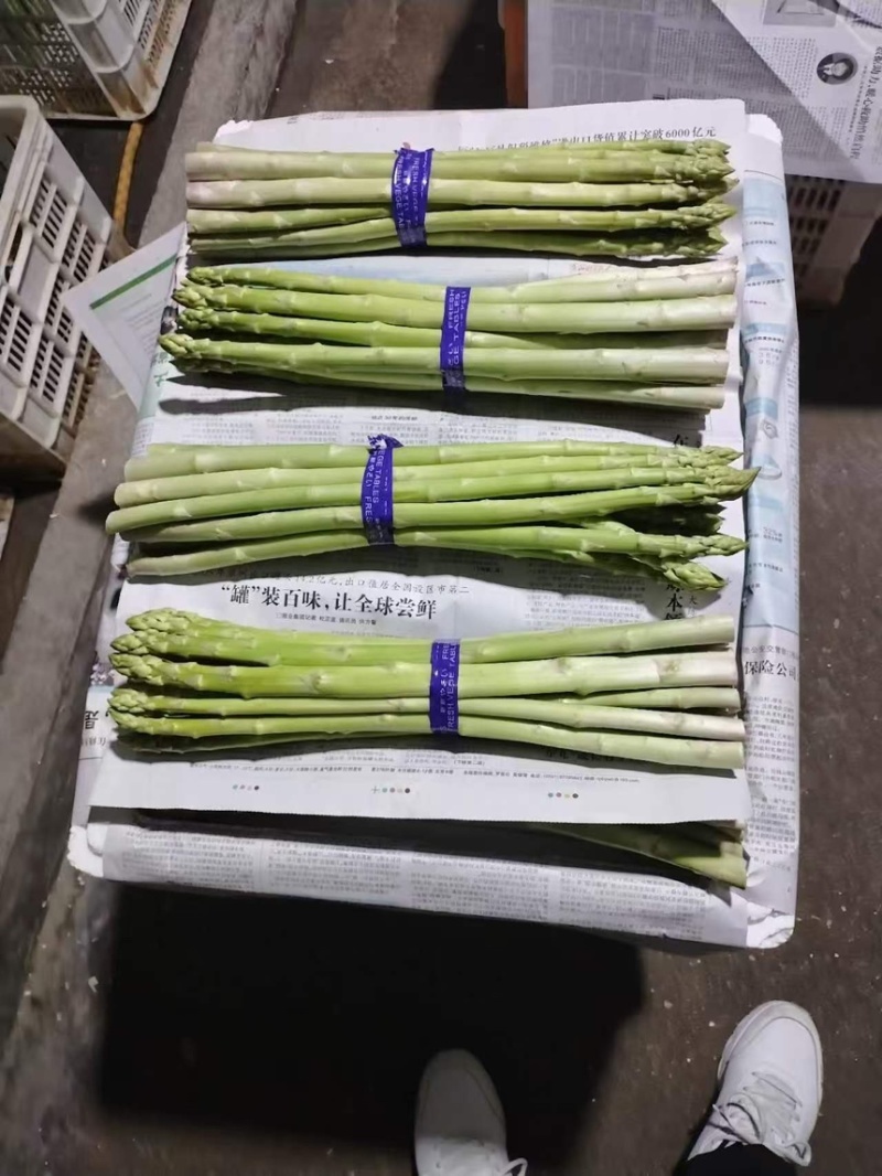 芦笋云霄新鲜绿芦笋现摘现卖一手货源欢迎广大电商咨询