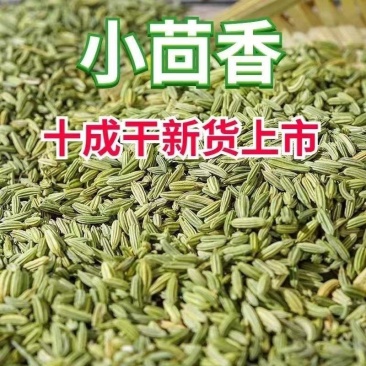 甘肃小茴香正品颗粒新货足干香料调料批发香辛料卤肉料干货食