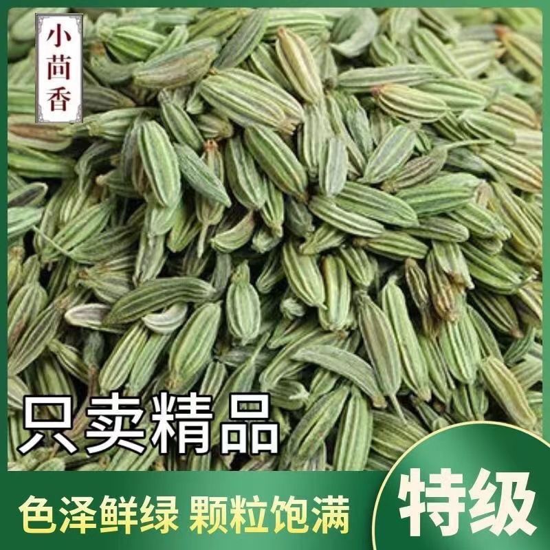 甘肃小茴香正品颗粒新货足干香料调料批发香辛料卤肉料干货食