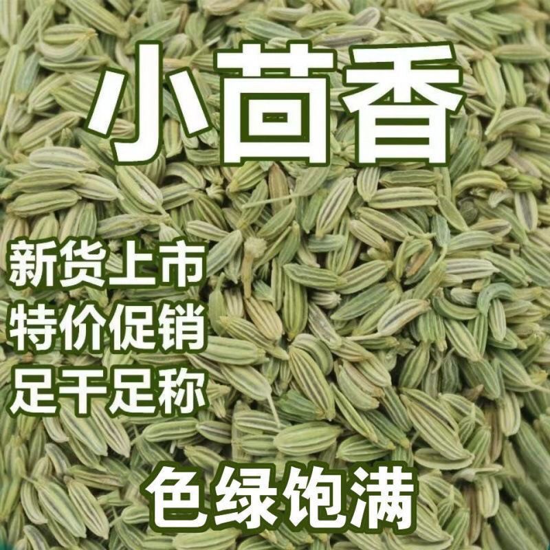甘肃小茴香正品颗粒新货足干香料调料批发香辛料卤肉料干货食