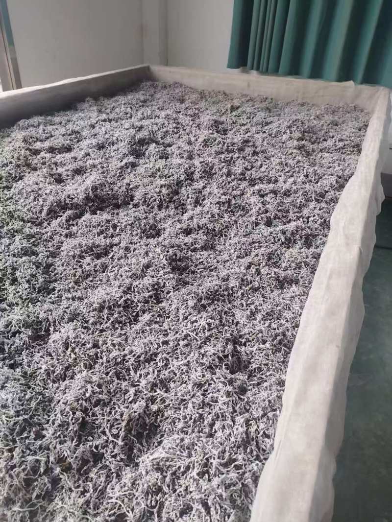 藤茶恩施特级富硒藤茶新茶龙须嫩芽尖欢迎咨询