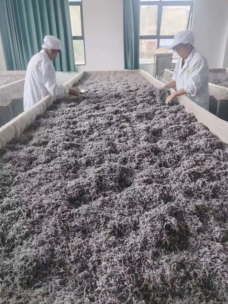 藤茶恩施特级富硒藤茶新茶龙须嫩芽尖欢迎咨询