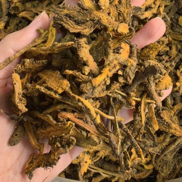 黄连规格黄连片过四筛