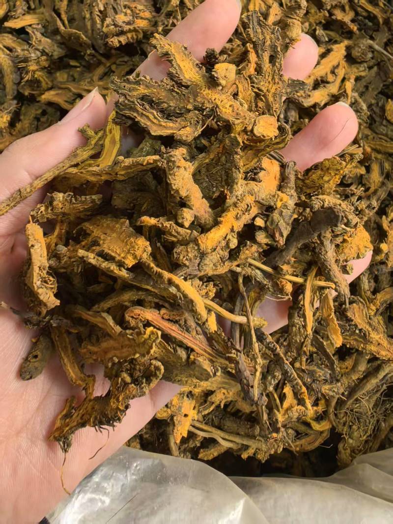黄连规格黄连片过四筛