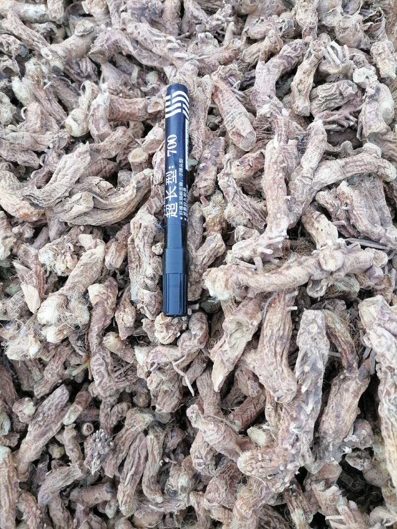 知母光知母知母片