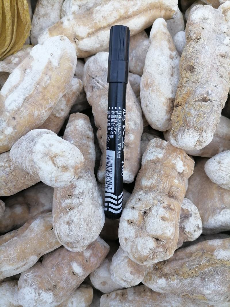 天花粉