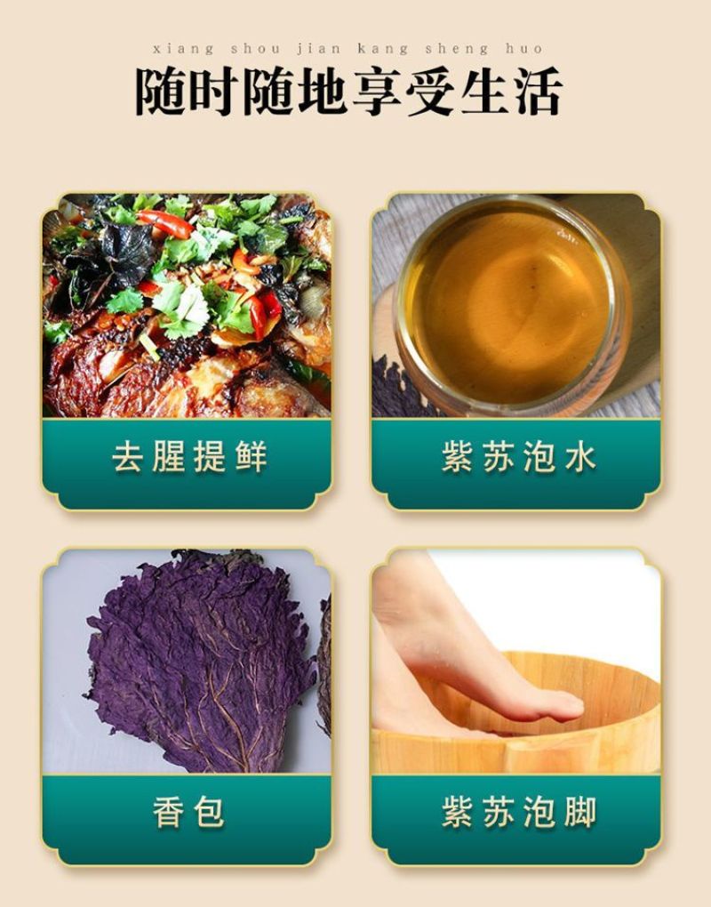 紫苏叶干中药材新鲜食用小紫苏叶子泡澡泡脚炒海鲜去腥泡茶