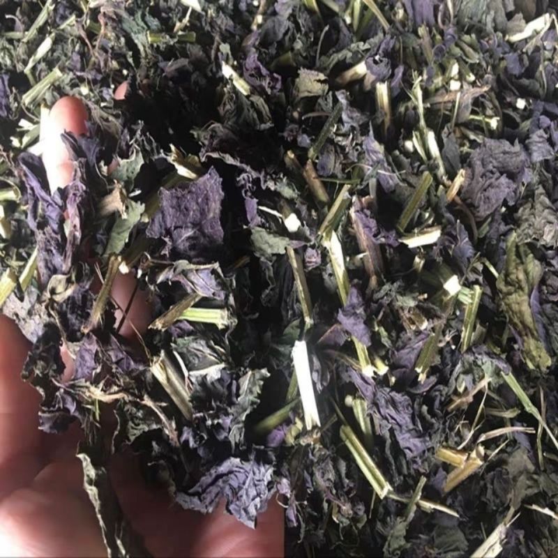 紫苏叶干中药材新鲜食用小紫苏叶子泡澡泡脚炒海鲜去腥泡茶