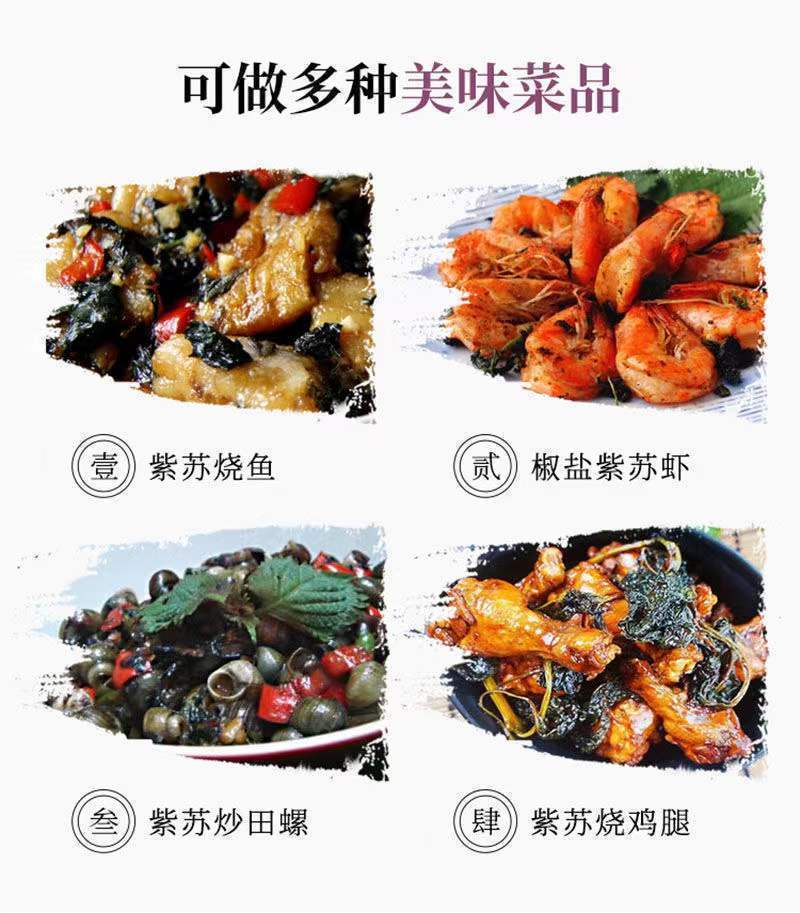 紫苏叶干中药材新鲜食用小紫苏叶子泡澡泡脚炒海鲜去腥泡茶