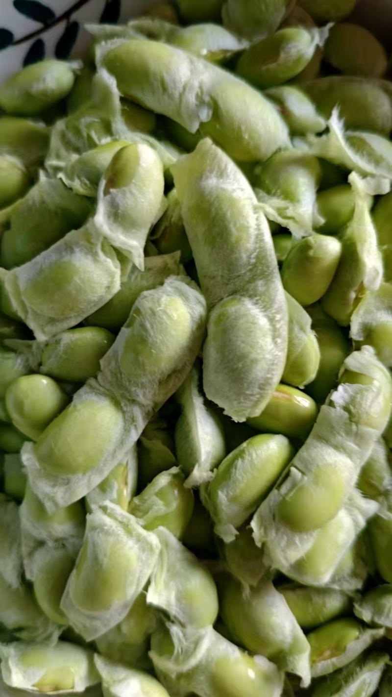 精品毛豆新鲜现摘毛豆青豆荚颗粒饱满农家自种产地直