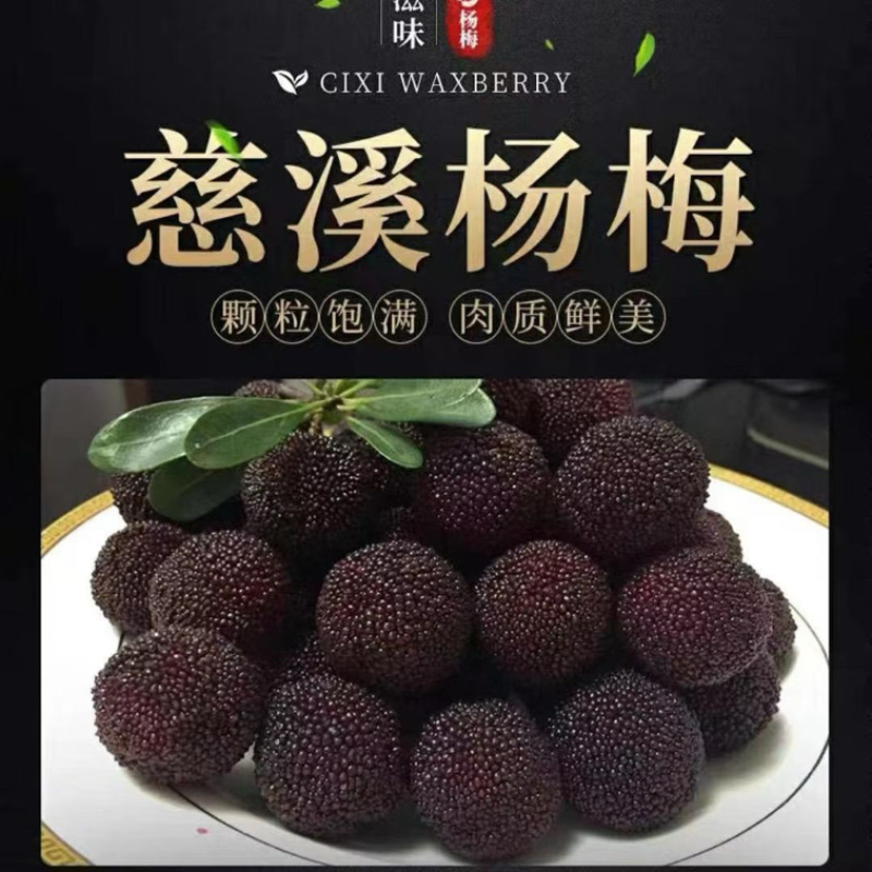 慈溪杨梅可一件代发可批量走
