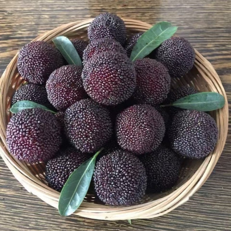 慈溪杨梅可一件代发可批量走