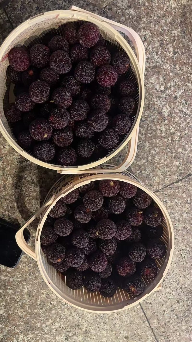 慈溪杨梅可一件代发可批量走