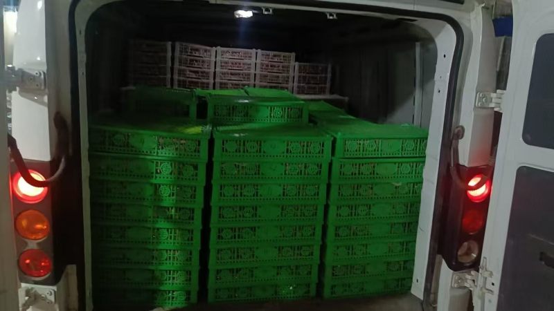 清甜2号，糖伯虎小番茄产地直发，大量有货，每天汇报最产地