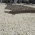 仓库是图片做饮料茉莉花茶