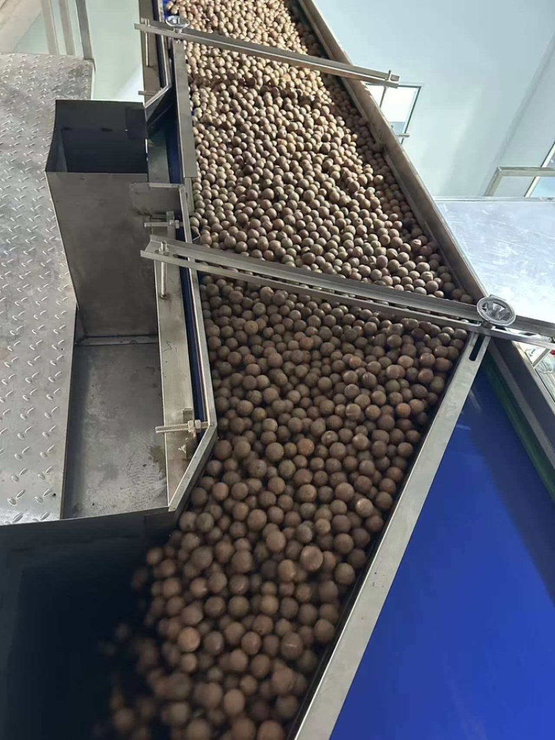 【精选】夏威夷果干果坚果原料厂家直批全国整车发货
