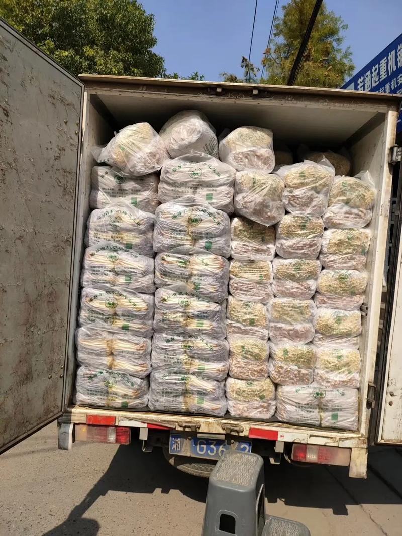 花生芽水培花生芽批发零售均可支持定制规格欢迎视频看货