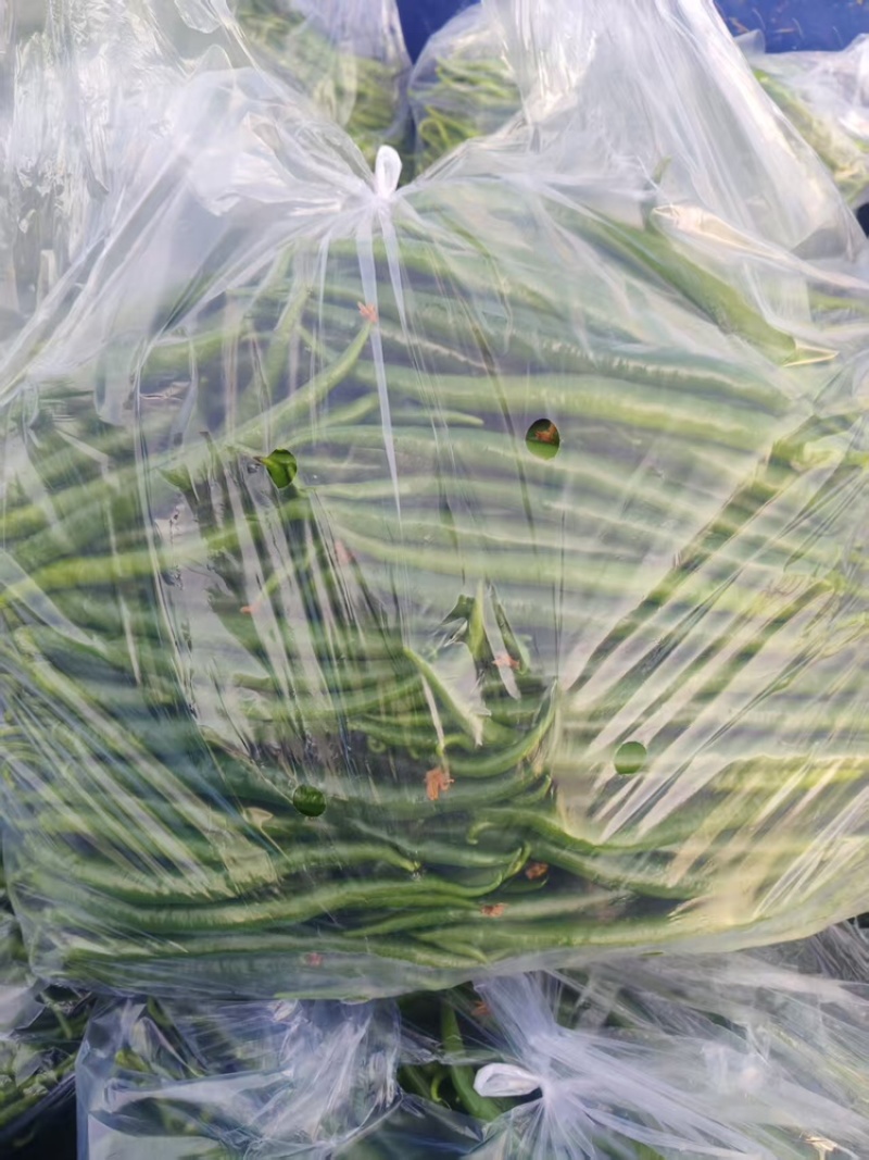 精品线椒3号黑线椒8号黑线椒超市货食堂货基地直发货