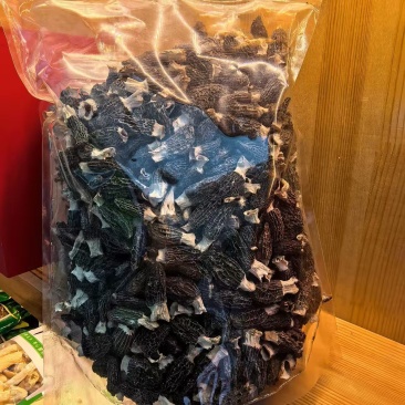 苗家深山羊肚菌