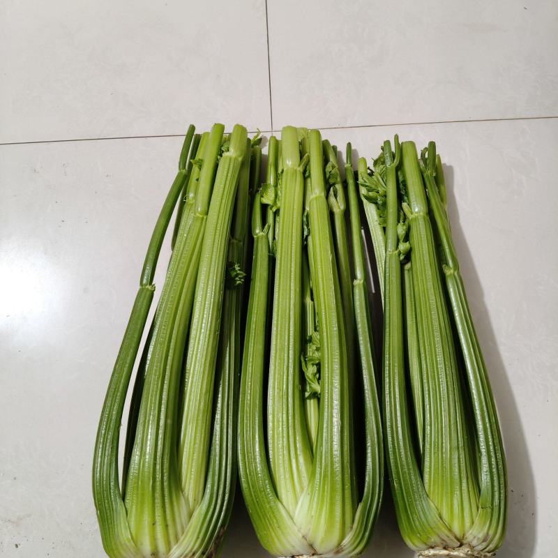 沈阳精品西芹。