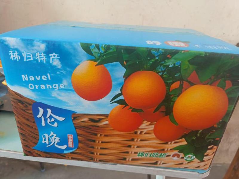 湖北伦晚脐橙现采现发，高糖爆汁，皮薄肉厚全程保鲜配送