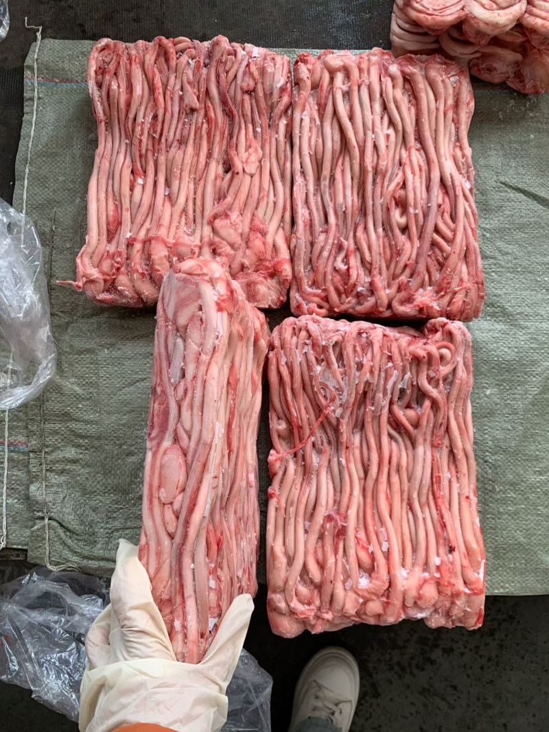 熟小肠