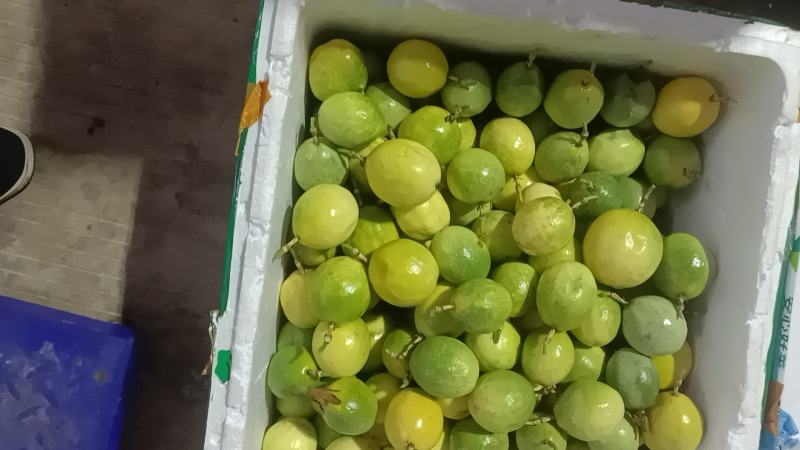 百香果精品货源，各大平台一件代发，多规格可发